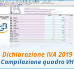 Dichiarazione IVA 2019: casi di compilazione del quadro VH