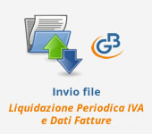 Console Telematica: invio file Dati fatture e Liquidazione Periodica Iva