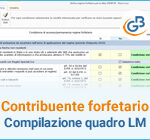 Contribuente forfetario: compilazione del quadro LM